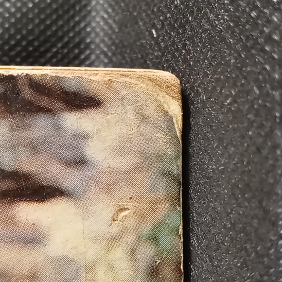 Vintage 1959 Walt Disney's "Tonka" Little Golden Book - Picture 5 of 16